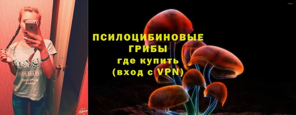 метамфетамин Галич