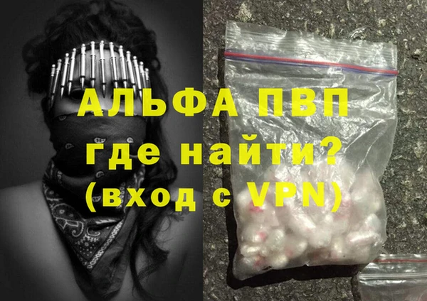первитин Богданович